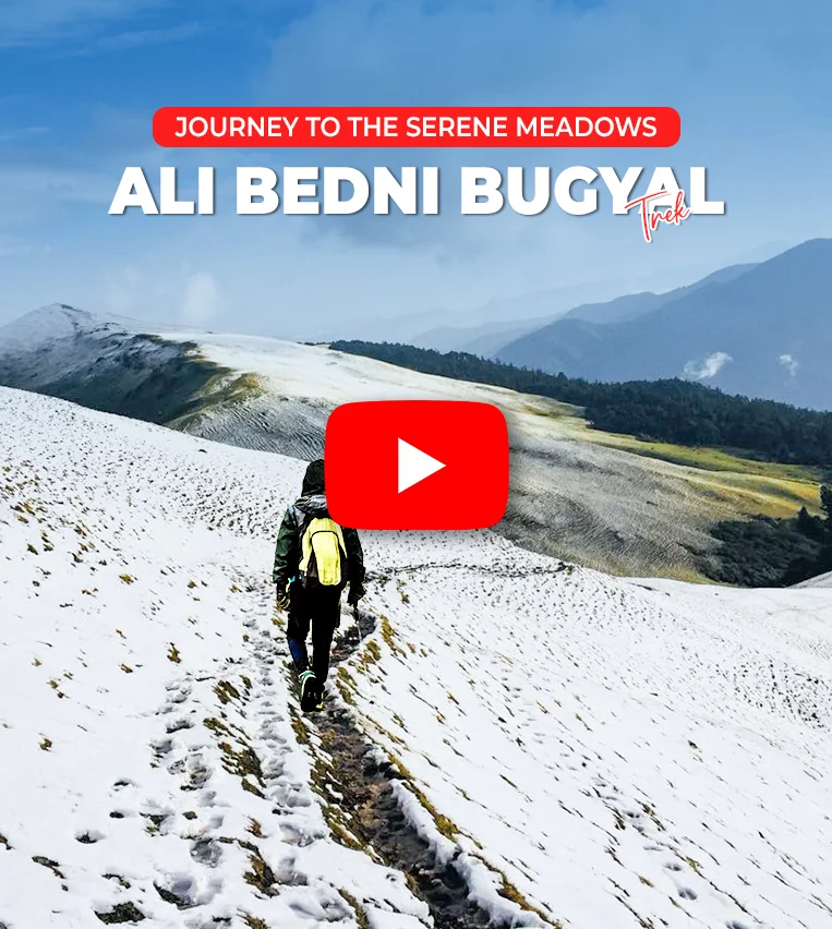 Ali Bedni Bugyal Trek: Journey to the Serene Meadows